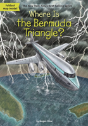 Where Is The Bermuda Triangle - Preview