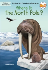 Where Is The North Pole?