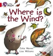 Capa do artigo Where Is The Wind?