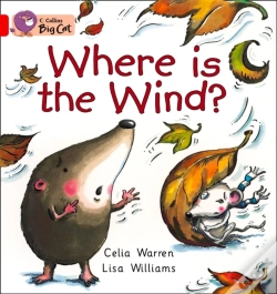 Capa do artigo Where Is The Wind?
