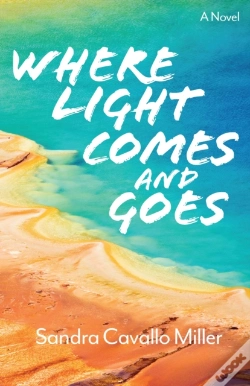 Capa do artigo Where Light Comes And Goes