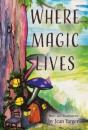 Where Magic Lives - Preview