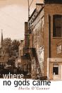 Where No Gods Came - Preview