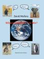 Where On Earth Are We? - Preview
