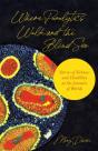 Where Paralytics Walk And The Blind See - Preview
