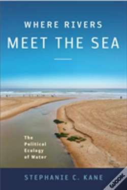 Capa do artigo Where Rivers Meet The Sea