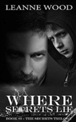 Capa do artigo Where Secrets Lie