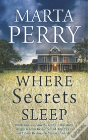 Capa do artigo Where Secrets Sleep