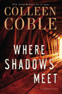 Where Shadows Meet - Preview