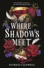 Where Shadows Meet - Preview