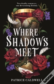 Capa do artigo Where Shadows Meet