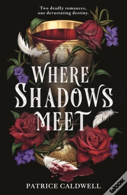 Capa do artigo Where Shadows Meet