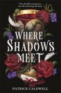 Where Shadows Meet - Preview