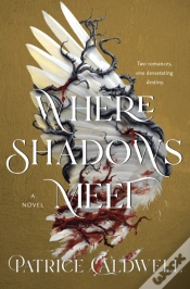 Capa do artigo Where Shadows Meet