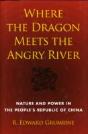 Where The Dragon Meets The Angry River - Preview