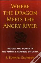 Capa do artigo Where The Dragon Meets The Angry River