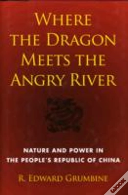 Capa do artigo Where The Dragon Meets The Angry River