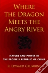 Where The Dragon Meets The Angry River