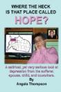 Where The Heck Is That Place Called Hope? - Preview