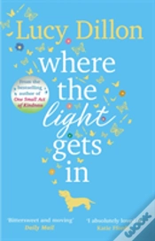 Capa do artigo Where The Light Gets In