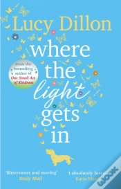 Capa do artigo Where The Light Gets In