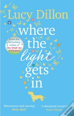 Capa do artigo Where The Light Gets In