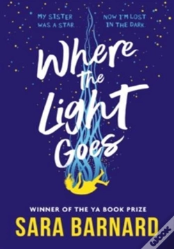 Capa do artigo Where The Light Goes