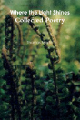 Where The Light Shines - Preview