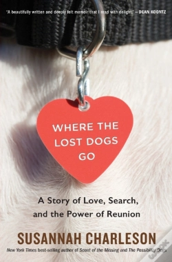Capa do artigo Where The Lost Dogs Go