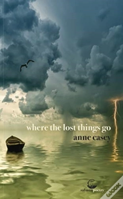 Capa do artigo Where The Lost Things Go