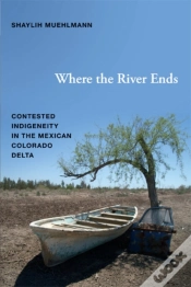Capa do artigo Where The River Ends