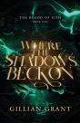 Where The Shadows Beckon - Preview