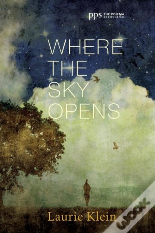 Where The Sky Opens