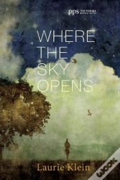 Capa do artigo Where The Sky Opens