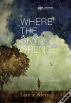 Capa do artigo Where The Sky Opens