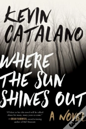 Capa do artigo Where The Sun Shines Out