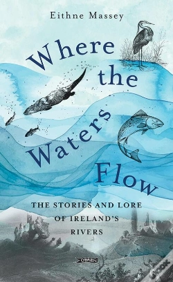 Capa do artigo Where The Waters Flow