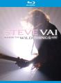 Where The Wild Things Are - DVD/BluRay - Preview