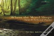 Where The Wind Sleeps