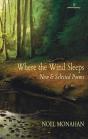 Where The Wind Sleeps - Preview