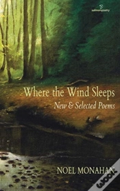 Capa do artigo Where The Wind Sleeps