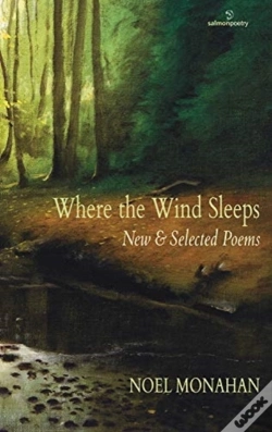 Capa do artigo Where The Wind Sleeps