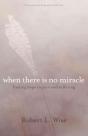 Where There Is No Miracle Â€“ Finding Hope In Pain And Suffering - Preview