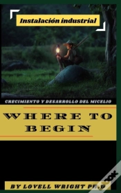 Capa do artigo Where To Begin