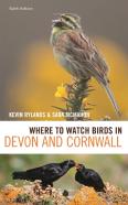 Where To Watch Birds In Devon And Cornwall