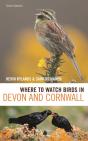 Where To Watch Birds In Devon And Cornwall - Preview