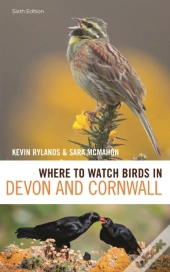 Where To Watch Birds In Devon And Cornwall