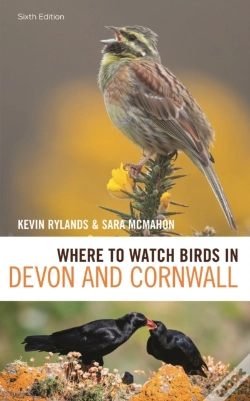Capa do artigo Where To Watch Birds In Devon And Cornwall