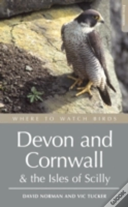 Capa do artigo Where To Watch Birds In Devon And Cornwall