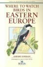 Where To Watch Birds In Easter - Preview